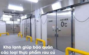 Thuê kho lạnh – Giải pháp hoàn hảo cho bảo quản hàng hóa trong thời đại mới 2 thuê kho lạnh cao cấp