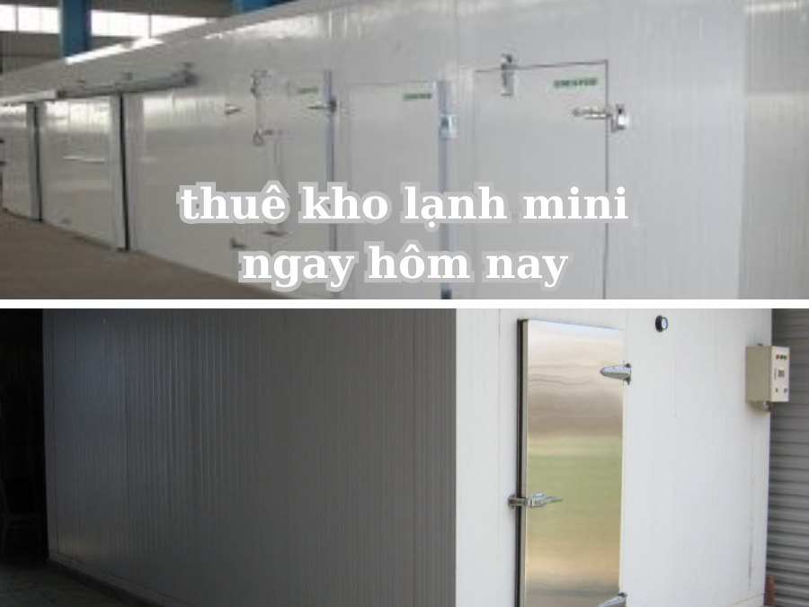 thuê kho lạnh mini