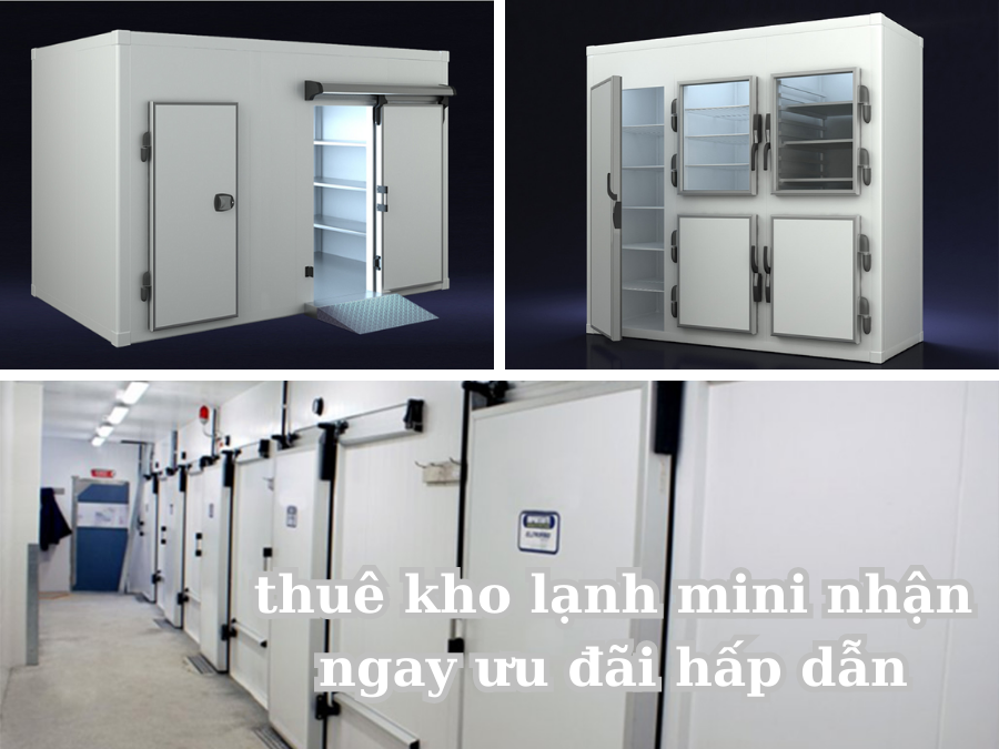 thuê kho lạnh mini