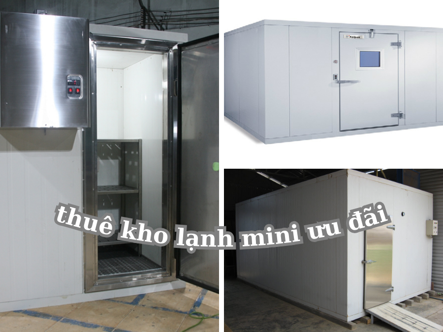 thuê kho lạnh mini