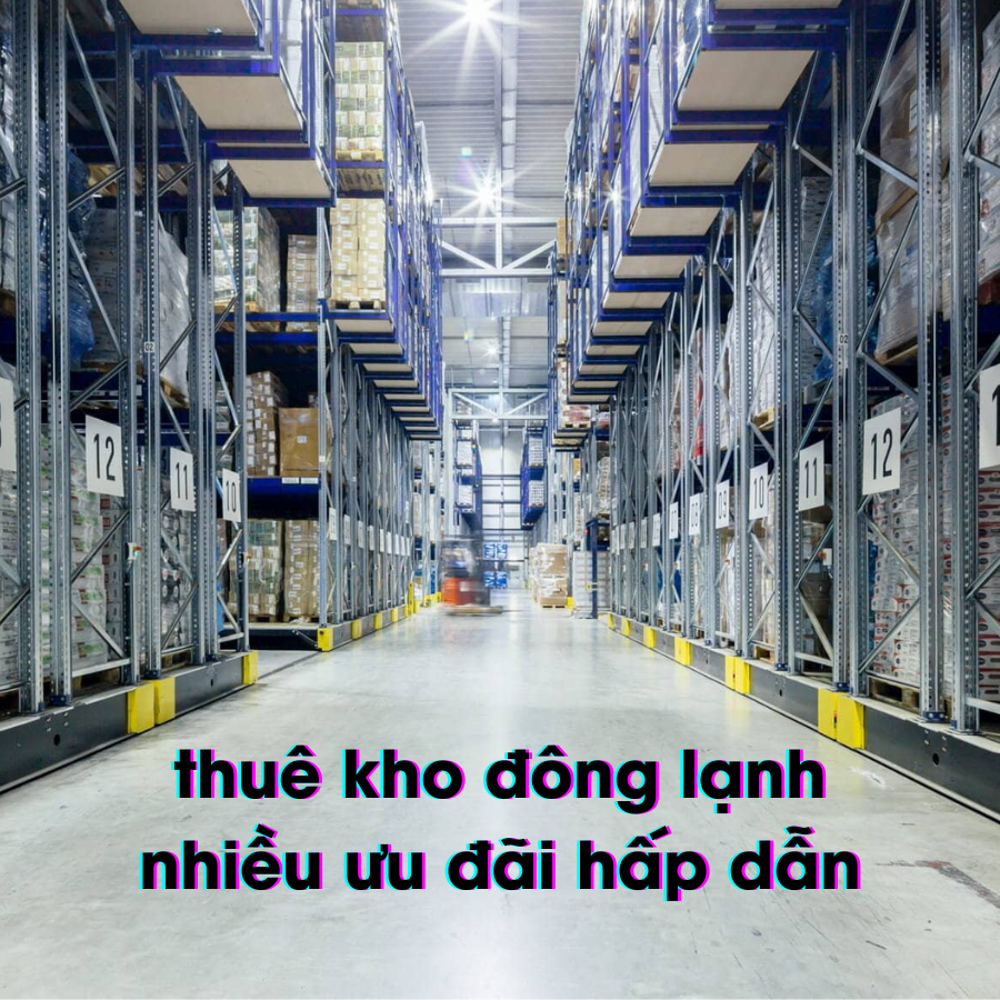 Thuê Kho Đông Lạnh - Nhu Cầu Gia Tăng Và Xu Hướng Phát Triển Tại Việt Nam Năm 2025 13 thuê kho đông lạnh