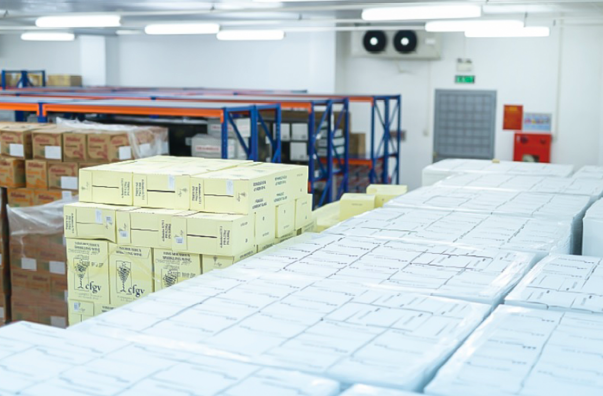 Kho Bảo Thuế (Tax Suspension Warehouse): Lợi ích và ứng dụng cho doanh nghiệp thuê kho 4 kho bao thue 6