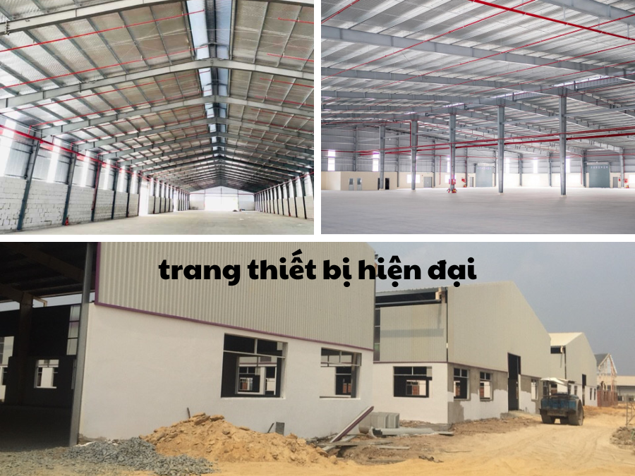 Dịch vụ cho thuê kho Dĩ An uy tín