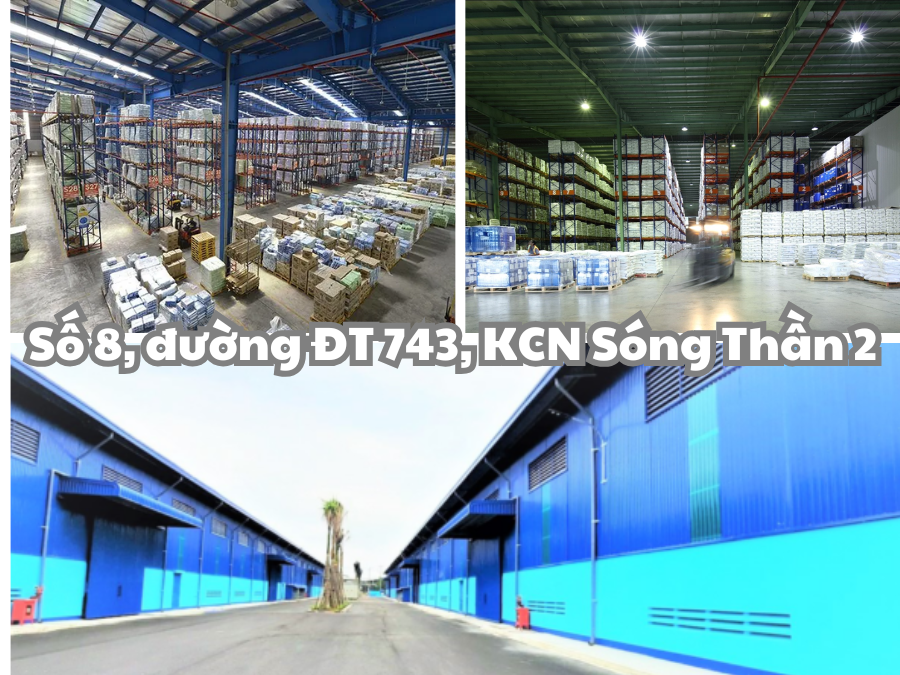 Phương Án Cho Thuê Kho Sóng Thần Từ Kho Vận Bình Minh Năm 2025 1 Dịch vụ thuê kho Sóng Thần chất lượng