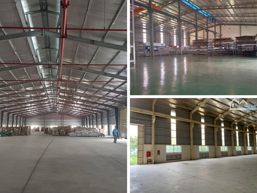 Thuê kho xưởng Thủ Đức hôm nay - nhận ngay ưu đãi cực sốc!