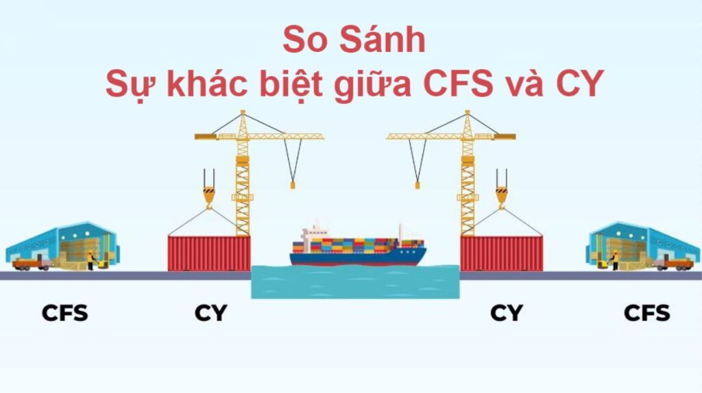So sánh sự khác biệt giữa CFS và CY