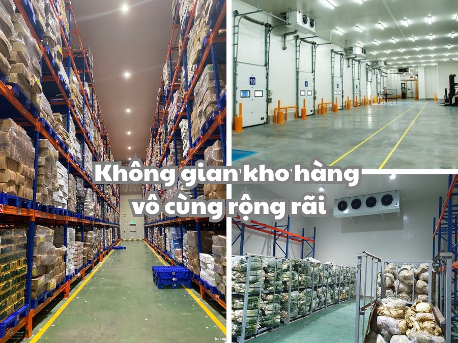 Thuê kho lạnh tại Hà Nội ngay cùng Kho vận Bình Minh!