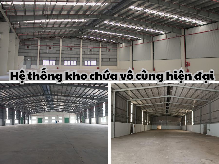 Dịch vụ cho thuê kho Bình Phước đã có mặt ngay tại Kho vận Bình Minh!