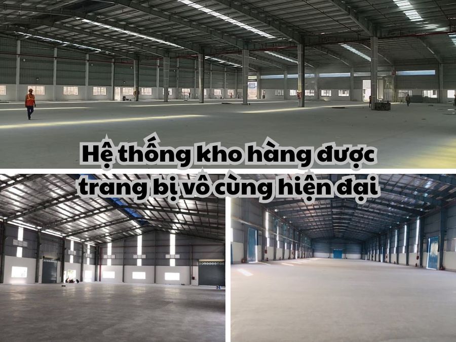 Cùng tìm hiểu 4 kinh nghiệm phân loại hàng hóa khi lưu kho thật chi tiết!