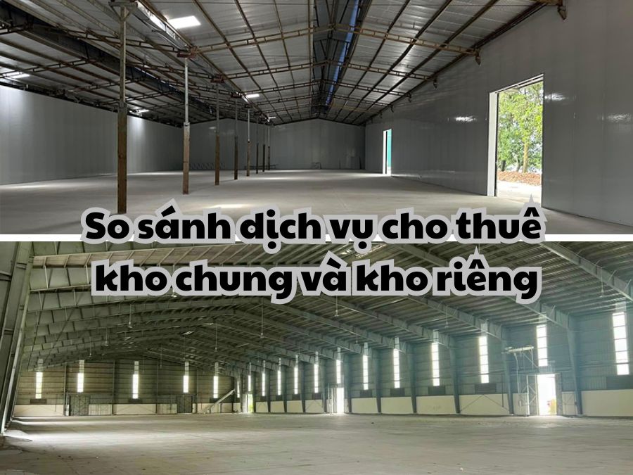 Cùng Kho vận Bình Minh so sánh giữa dịch vụ cho thuê kho chung và kho riêng ngay!