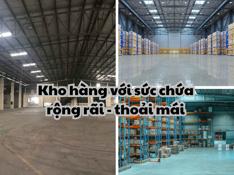 Nên sử dụng pallet nhựa hay pallet gỗ trong kho? Khám phá ngay!