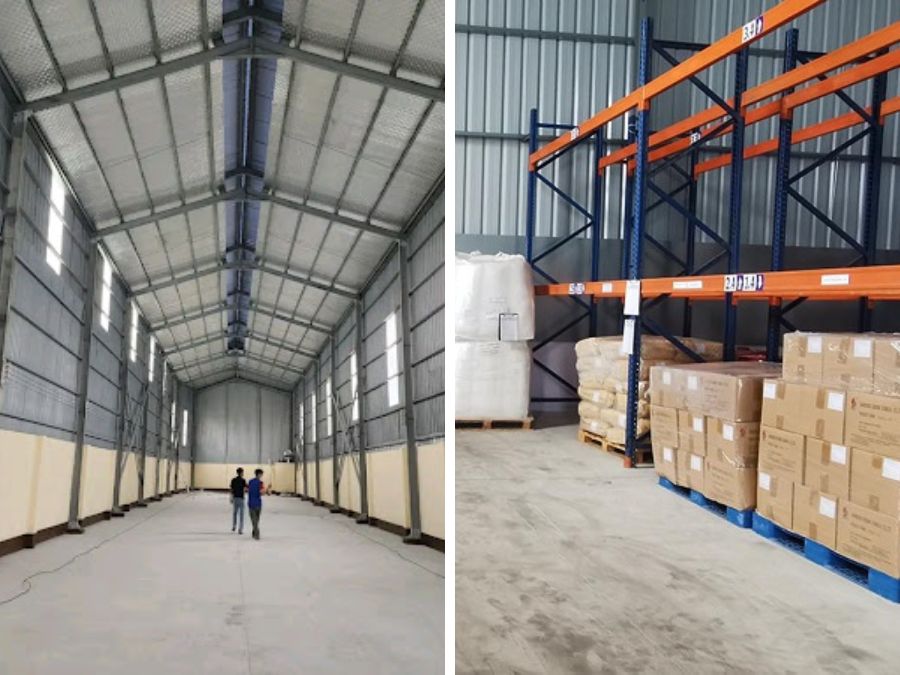 Khám phá 7 kinh nghiệm về cách phát hiện mối mọt trong kho ngay!