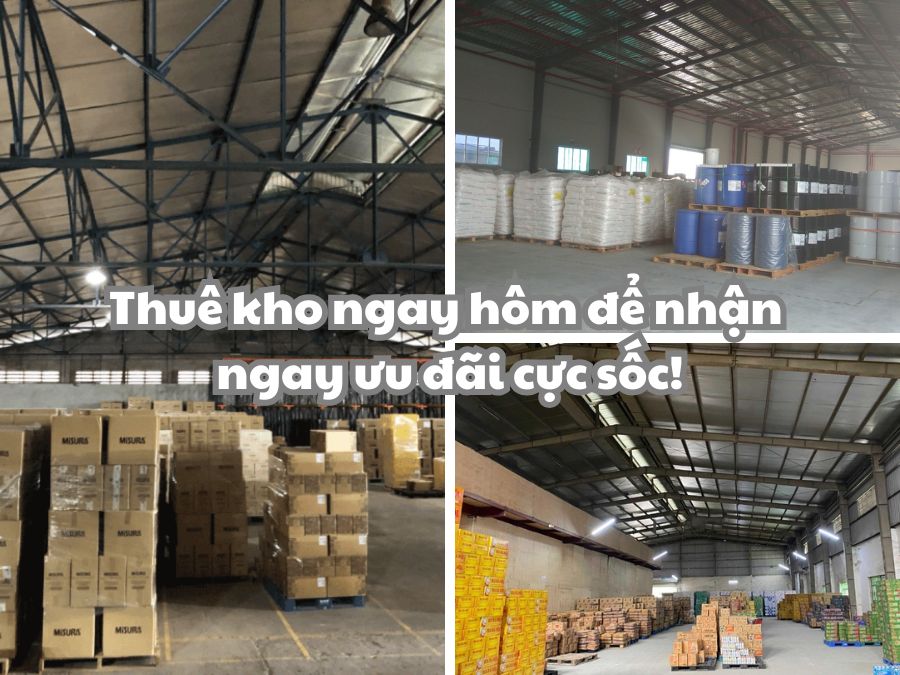 Khám phá 7 kinh nghiệm về cách phát hiện mối mọt trong kho ngay!