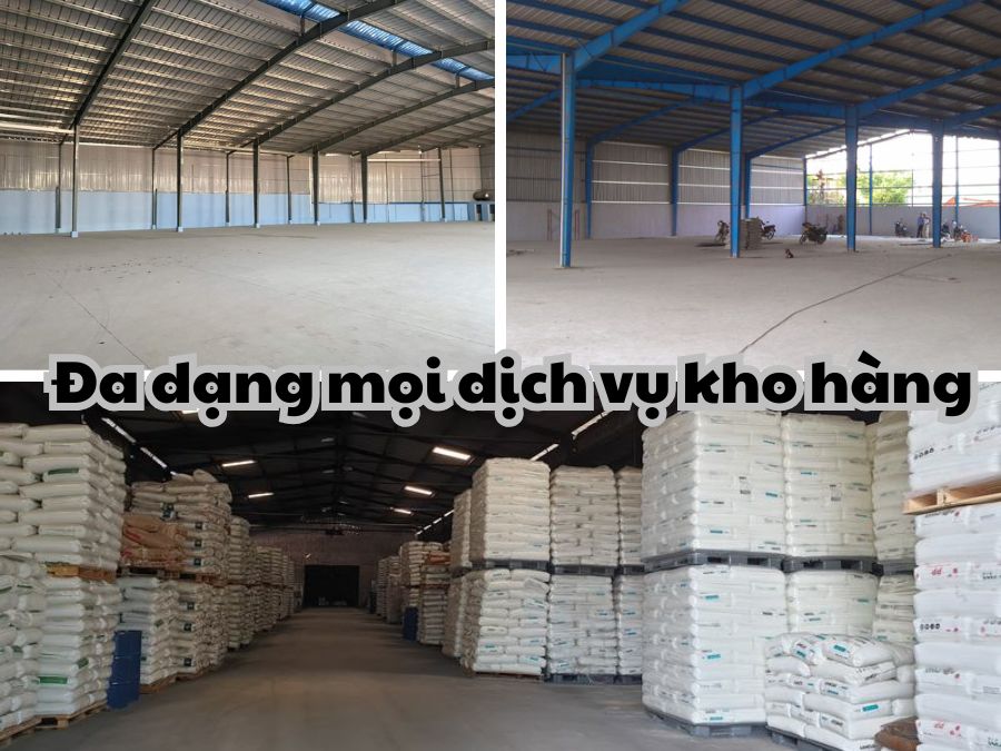 Khám phá 7 kinh nghiệm về cách phát hiện mối mọt trong kho ngay!